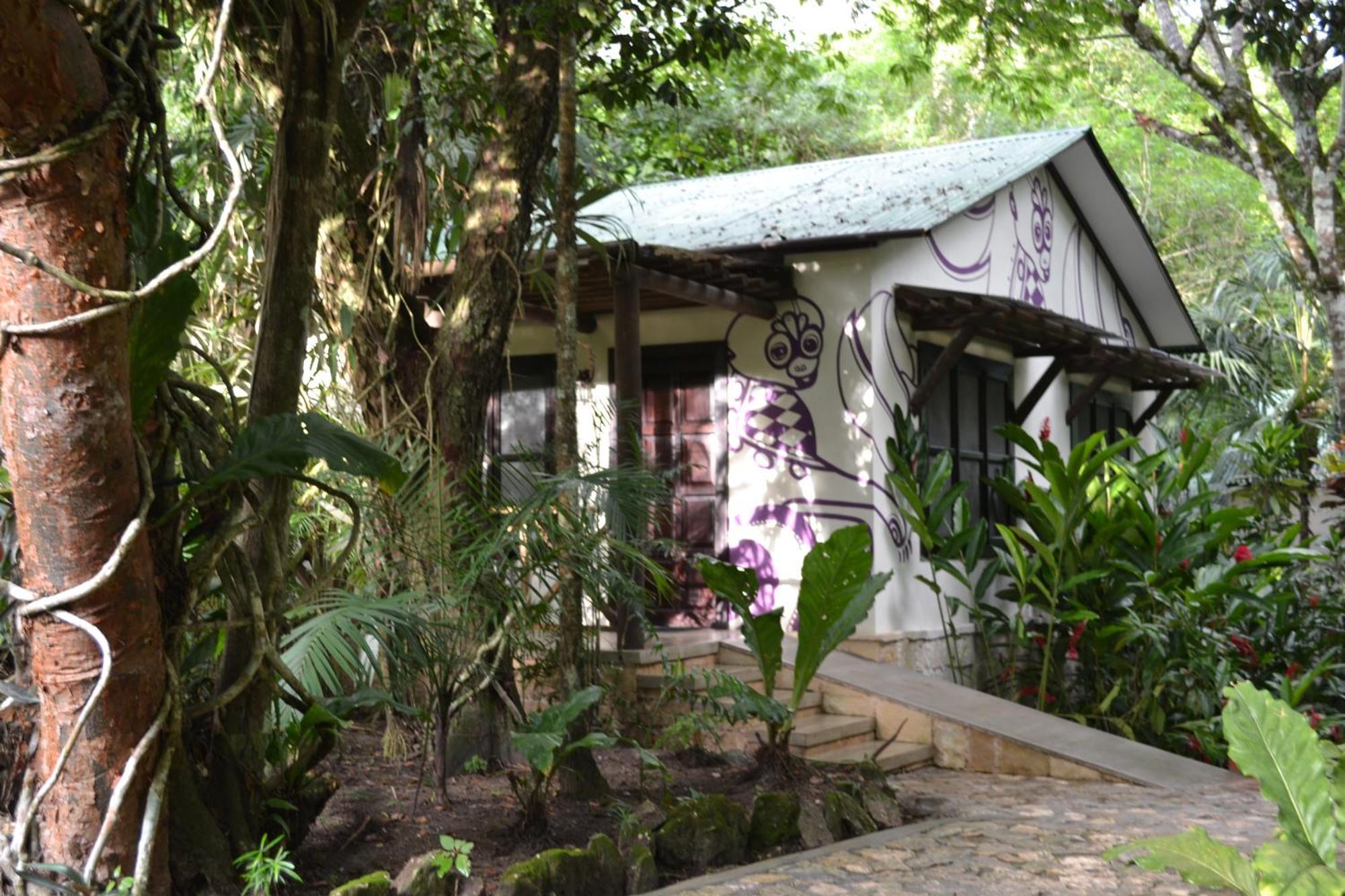 Hotel Jungle Lodge Tikal Bilik gambar