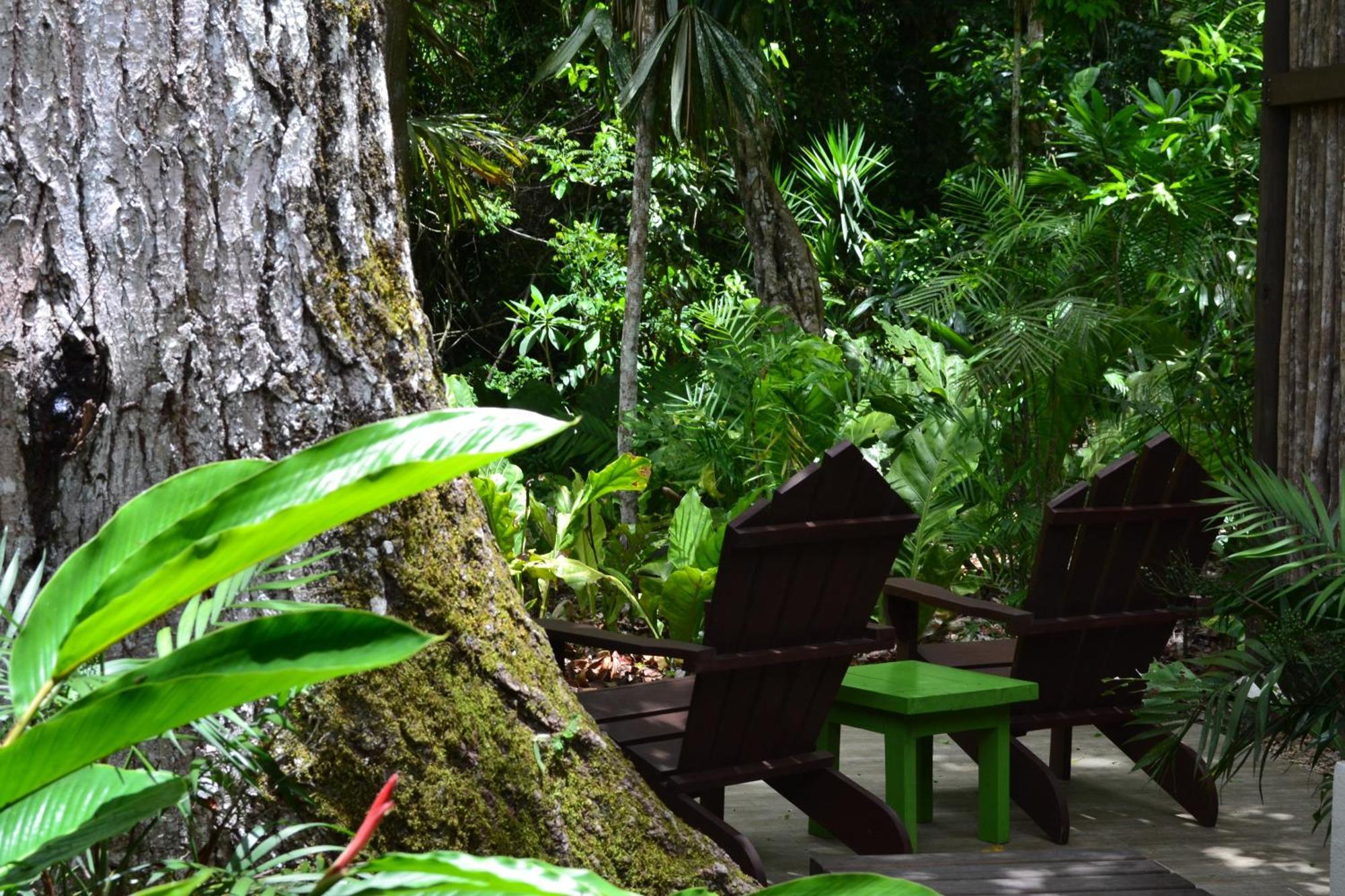 Hotel Jungle Lodge Tikal Bilik gambar