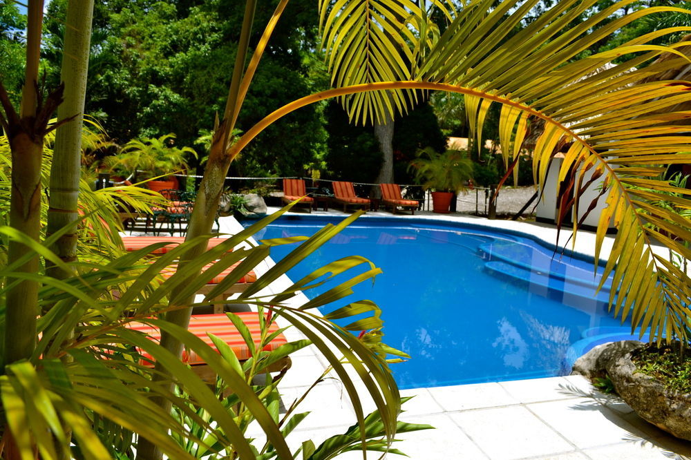 Hotel Jungle Lodge Tikal Luaran gambar