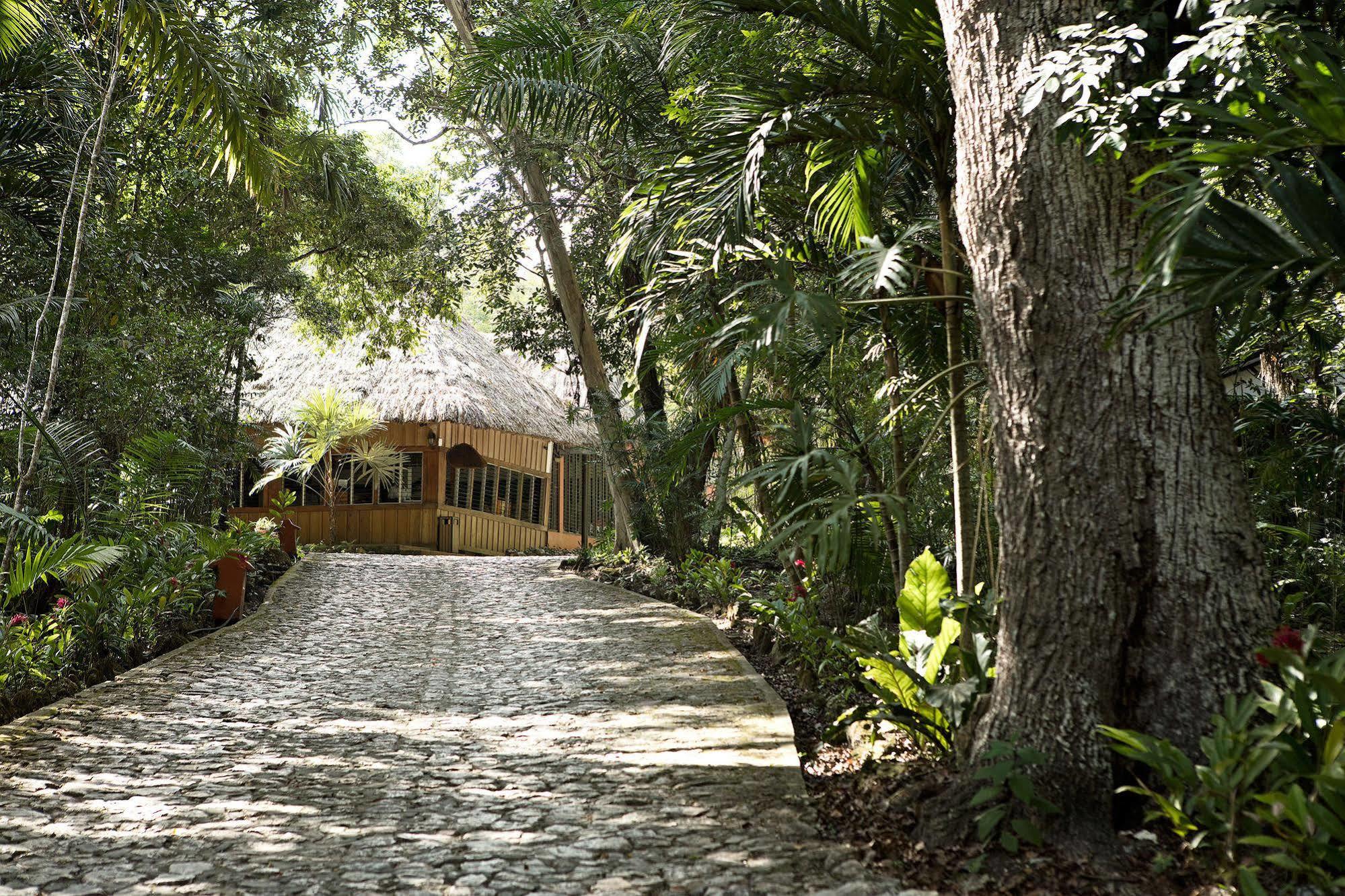 Hotel Jungle Lodge Tikal Luaran gambar